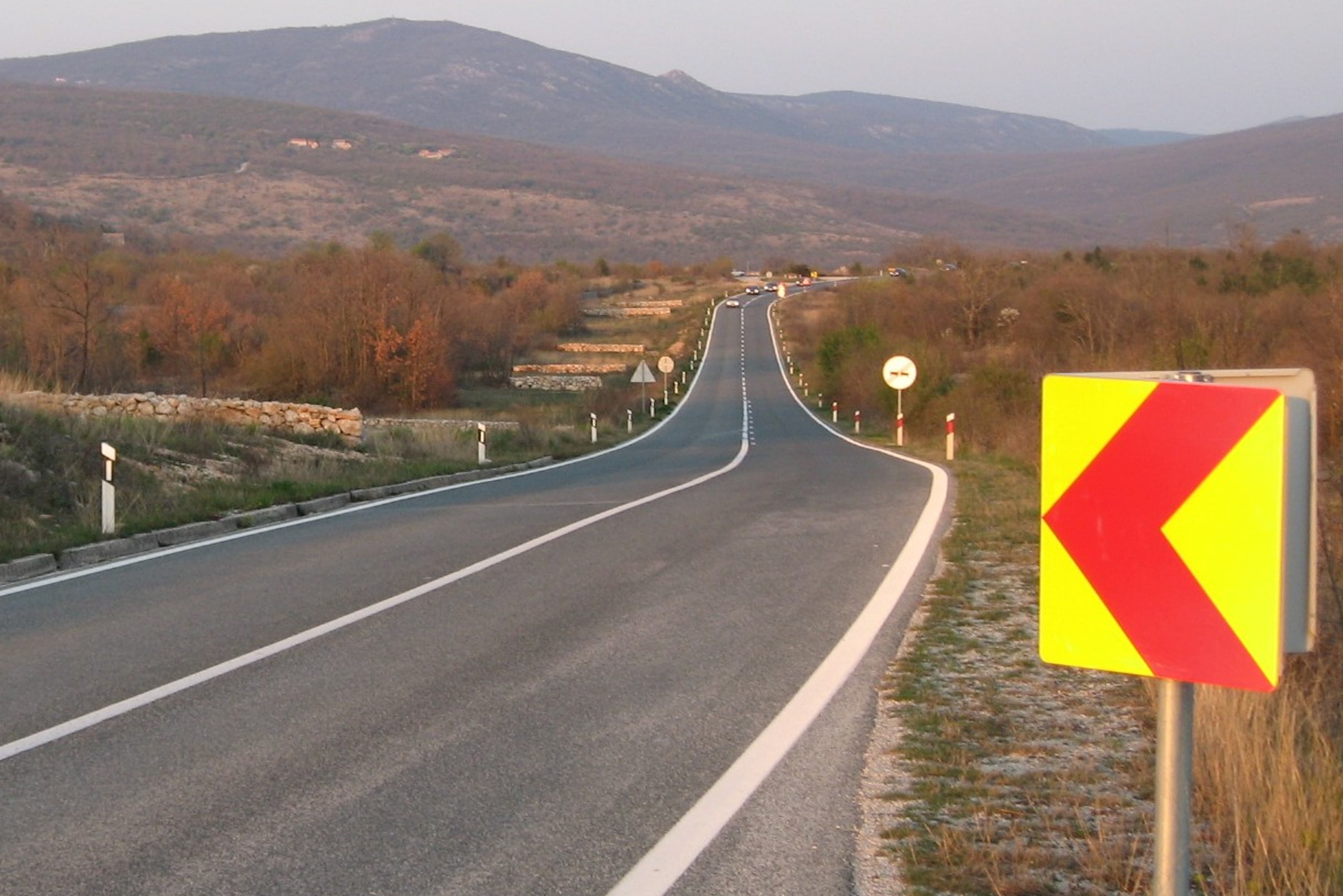 Revizor cestovne sigurnosti